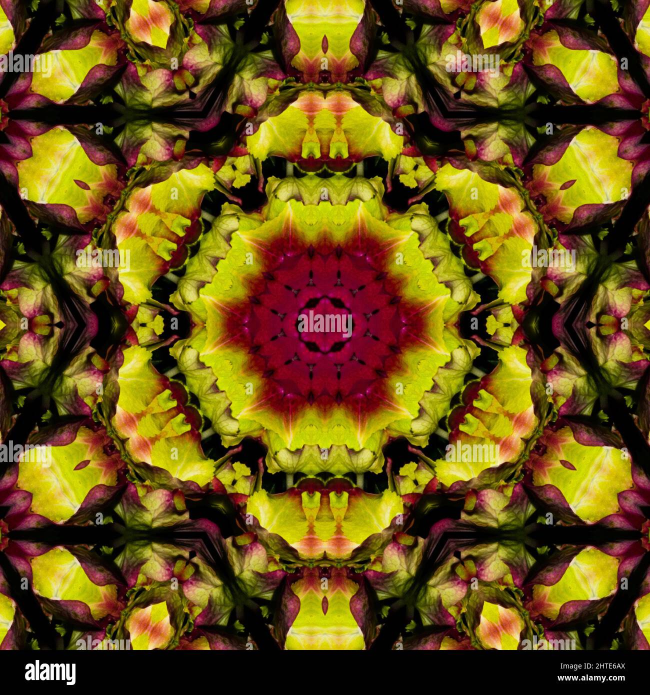Abstract Computer generated Fractal design. A fractal is a never-ending ...