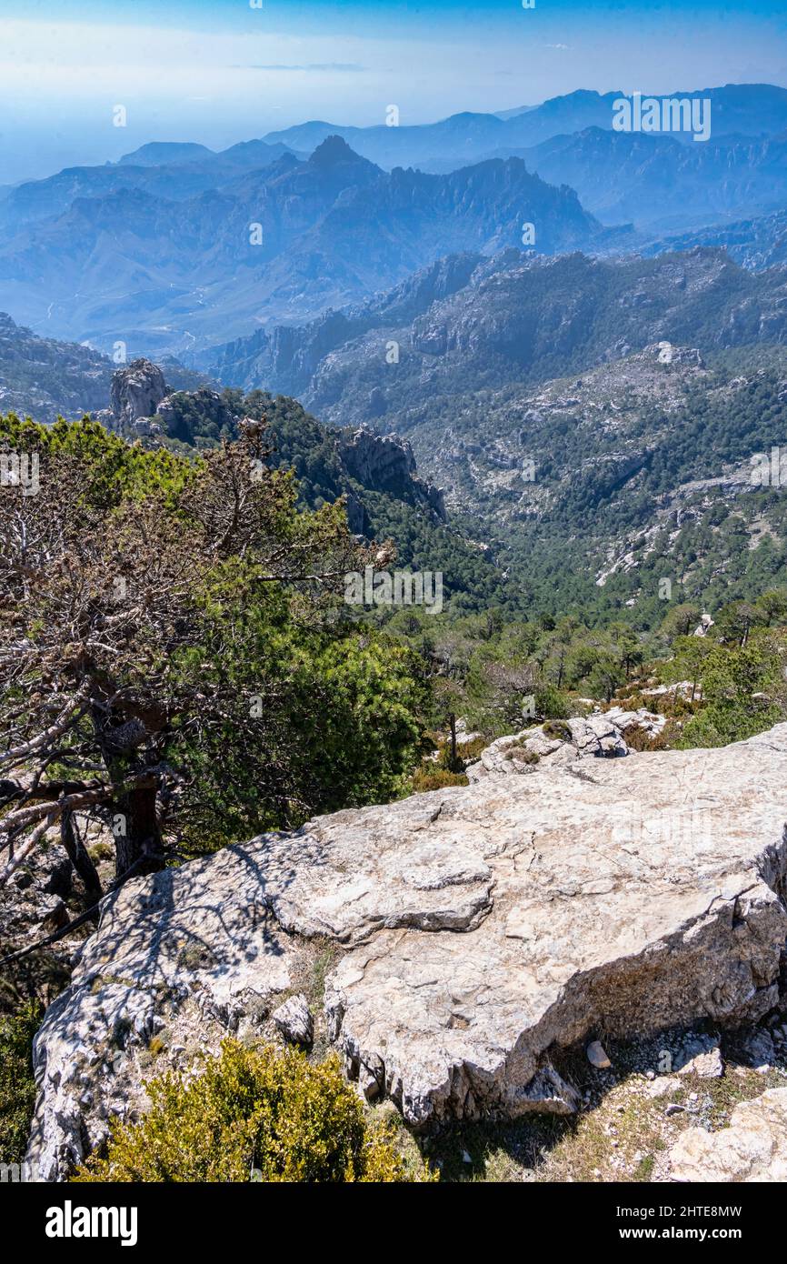 Mont caro hi-res stock photography and images - Alamy