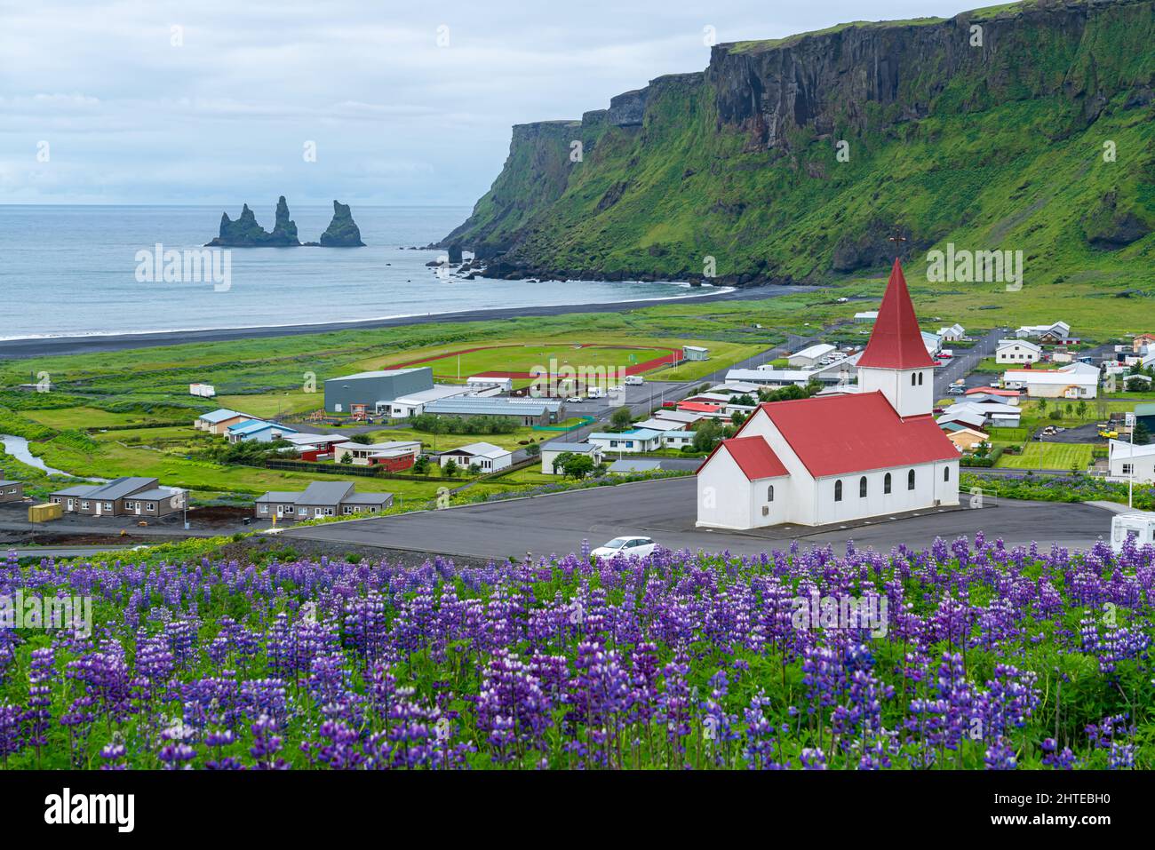 Beautiful aerial view of red Reyniskirkja church on the mountain and Nootka Lupine flower field at Vik, Iceland. Stock Photo