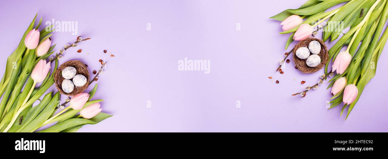 Nest with small eggs and pink tulips on pastel colored background ...