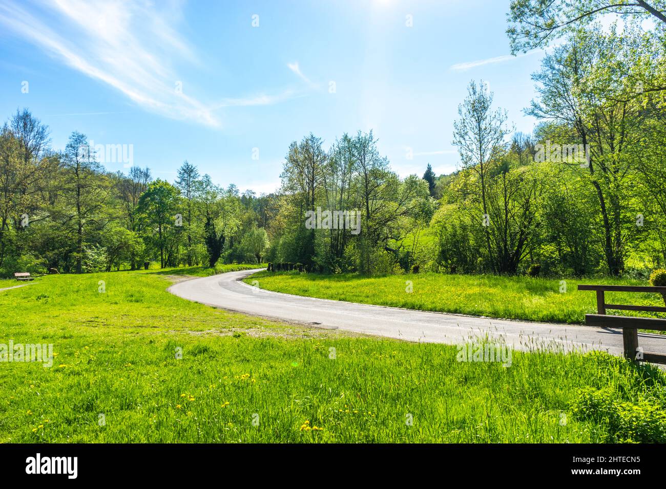 Park in bright sunny view hi-res stock photography and images - Alamy