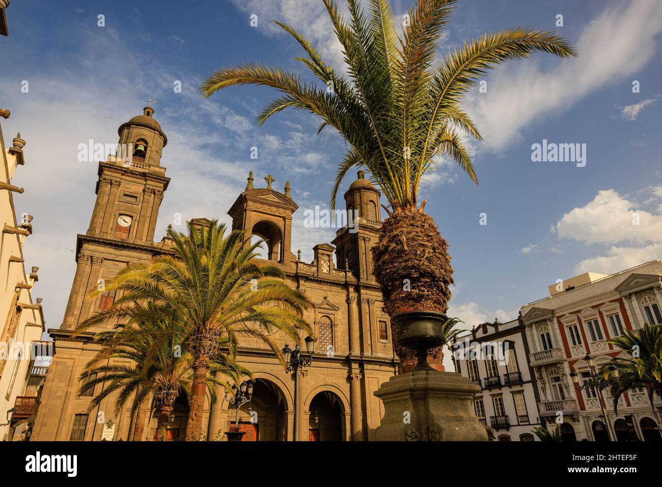 view of santa ana cathedral and plaza de santa ana with canarian palms Stock Photo