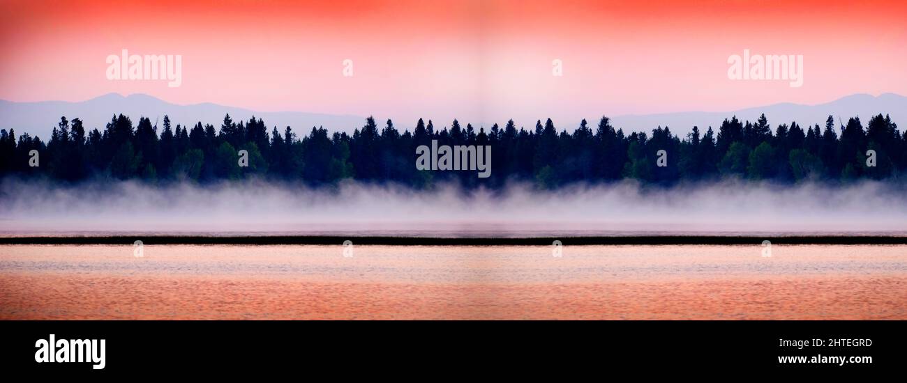 Sunrise or sunset on a lake with mist rising from the water and pine ...