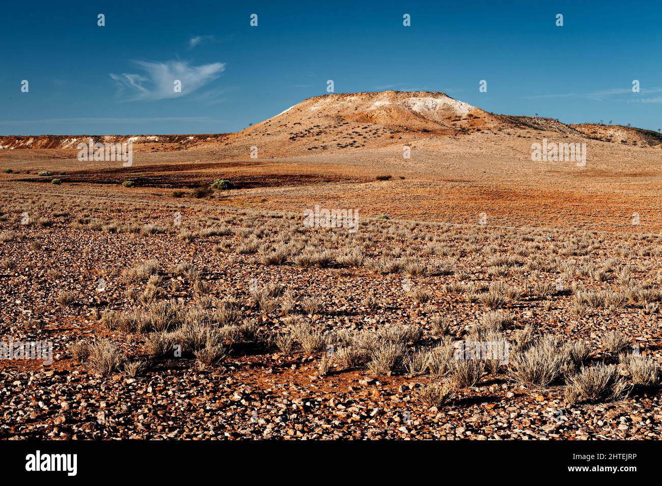 Typical desert landscape in Sturt National Park. Stock Photo