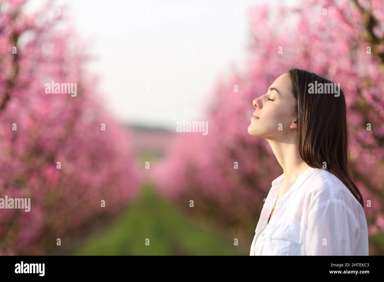 Side view portrait of a satisfied woman breathing fresh air in a beautiful pink field Stock Photo