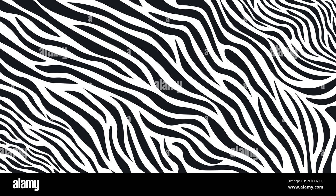 Wavy black and white zebra fur texture - Vector illustration Stock ...
