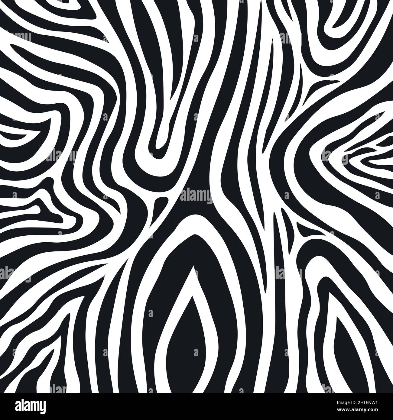 Wavy black and white zebra fur texture - Vector illustration Stock ...