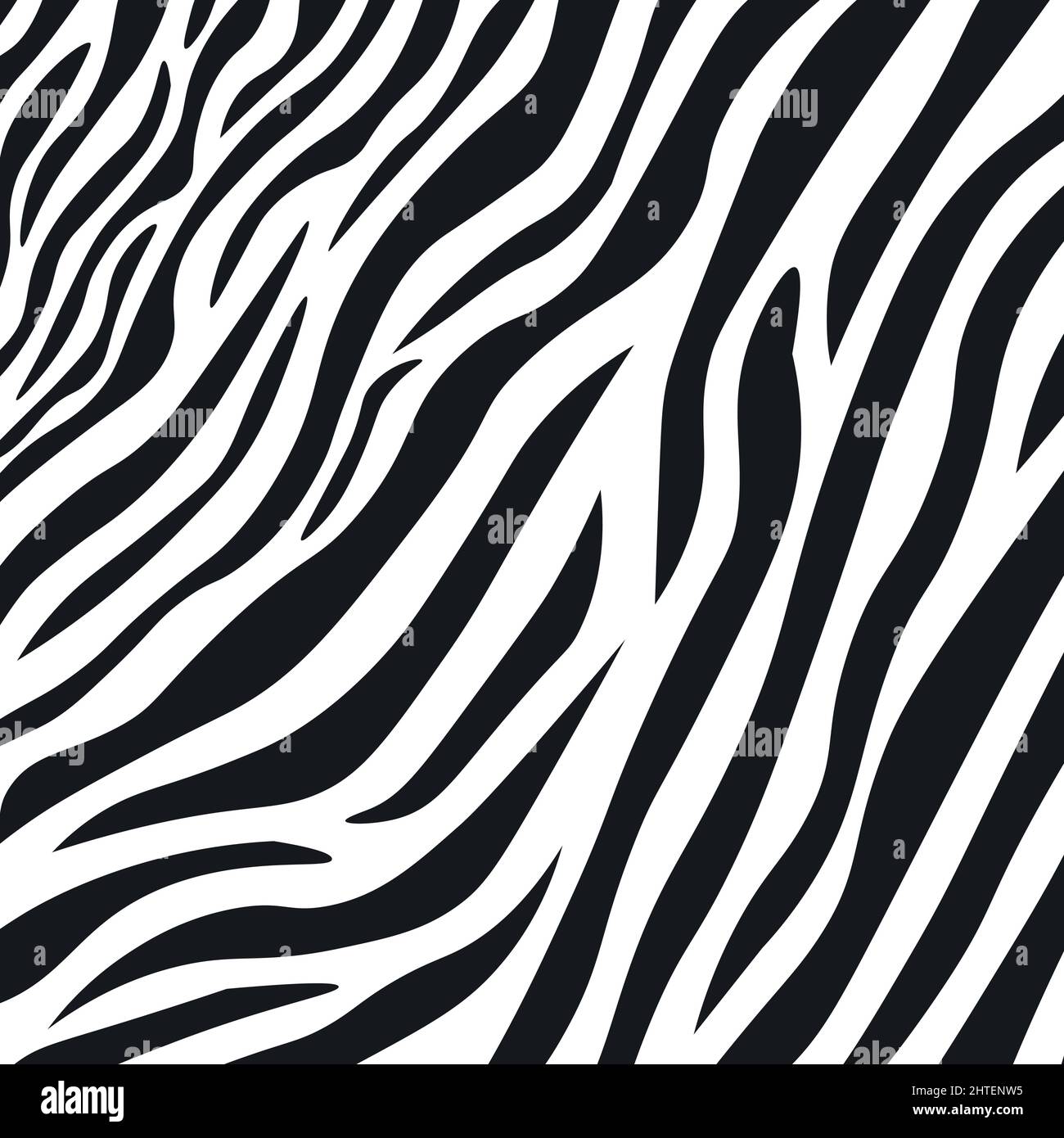 Wavy black and white zebra fur texture - Vector illustration Stock ...
