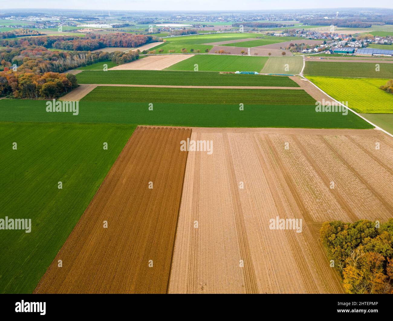 Aerial view of a  pastures and arable land. Panorama over healthy green crops in patchwork pasture farmland Stock Photo