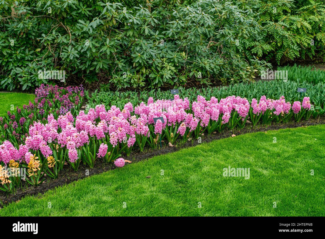 Formal garden bed hi-res stock photography and images - Alamy