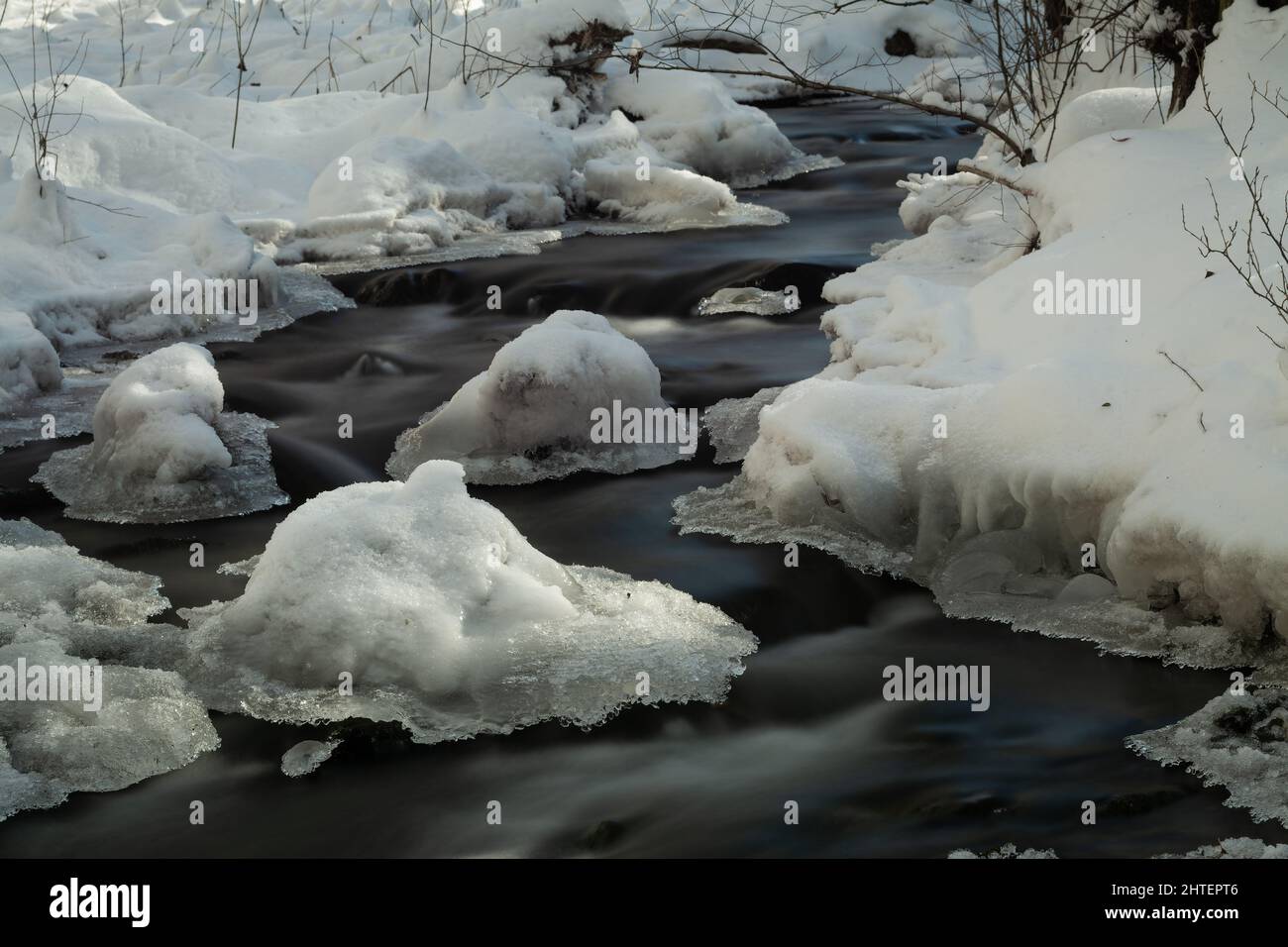 River covered by plants hi-res stock photography and images - Alamy