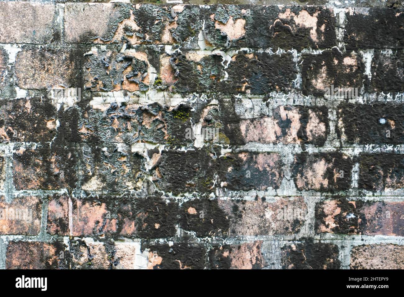 Old weathered brick wall texture Stock Photo - Alamy
