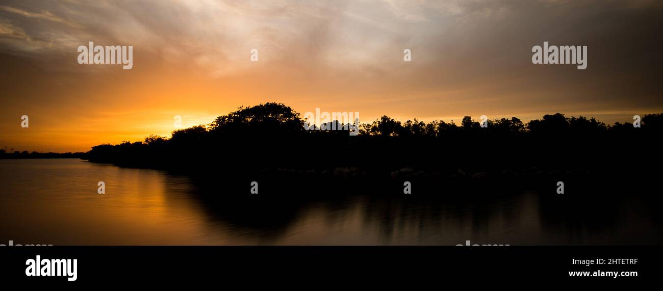 Silhouette of trees surrounding the lake on the sunset Stock Photo - Alamy