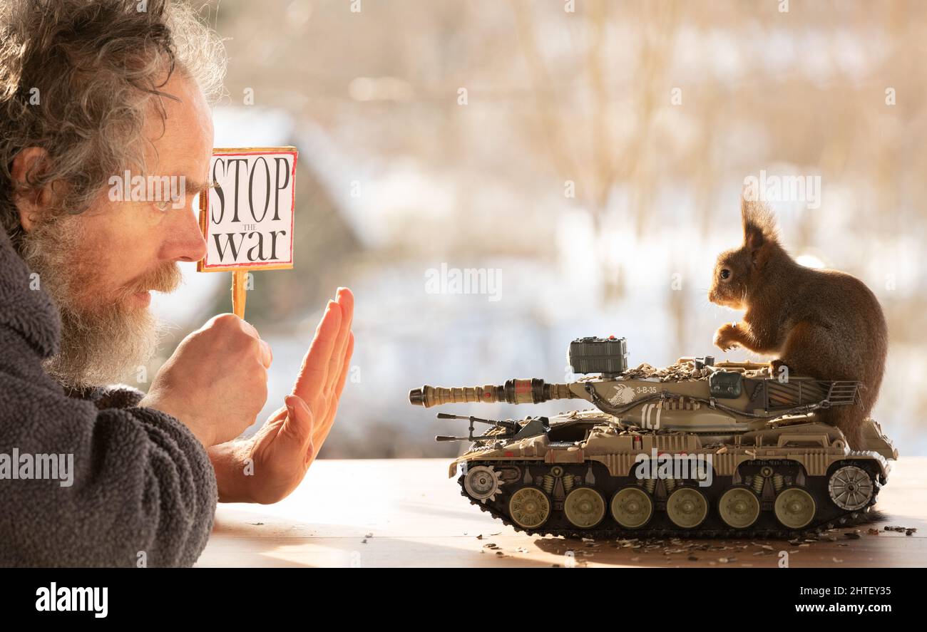 Red Squirrels with a tank and a man with stop the war sign Stock Photo