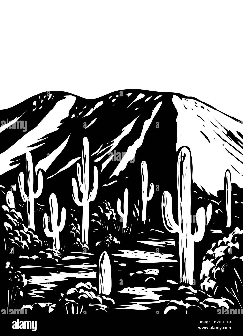 Illustration of Wasson Peak in Tucson Mountain District of Saguaro National Park Arizona Stock Photo