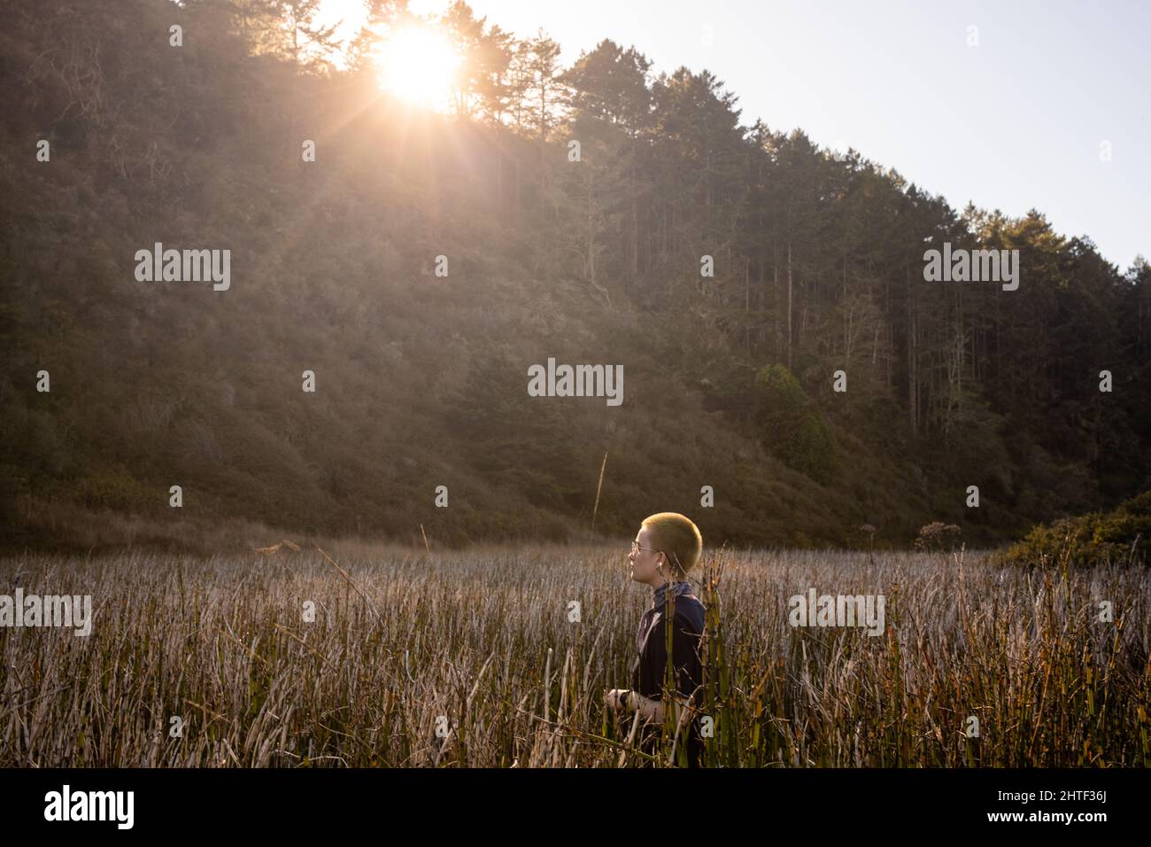 Person standing in tall grass with setting sun behind coastal hills Stock Photo