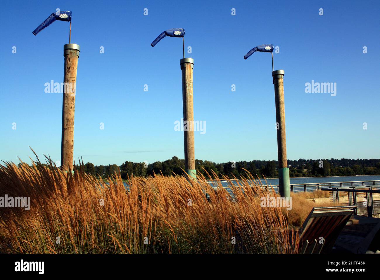 Wooden posts at Fraser River Waterfront in New Westminster, Canada Stock Photo Alamy