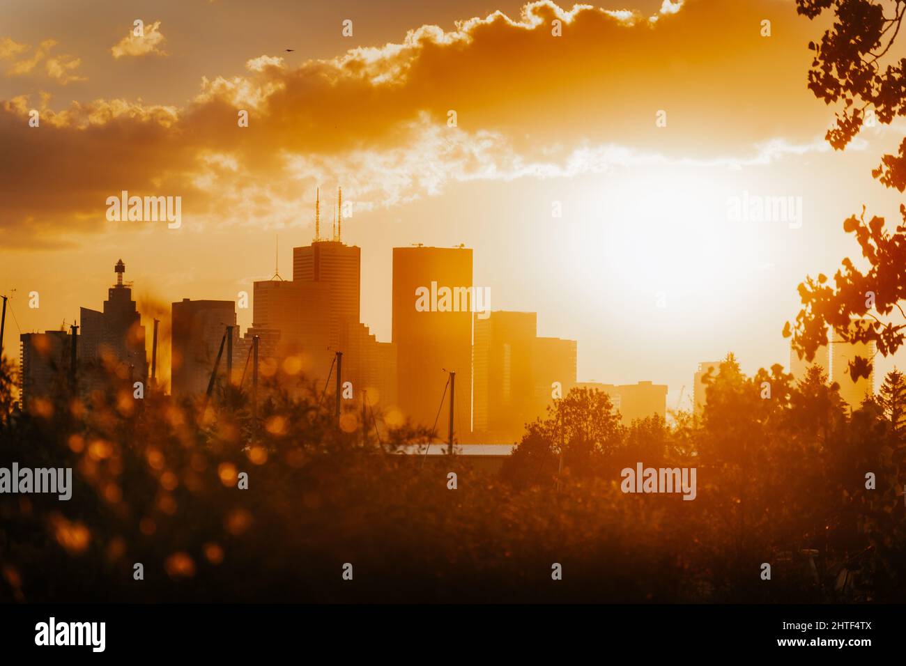 Stunning view of silhouettes of city buildings under an orange sunset ...