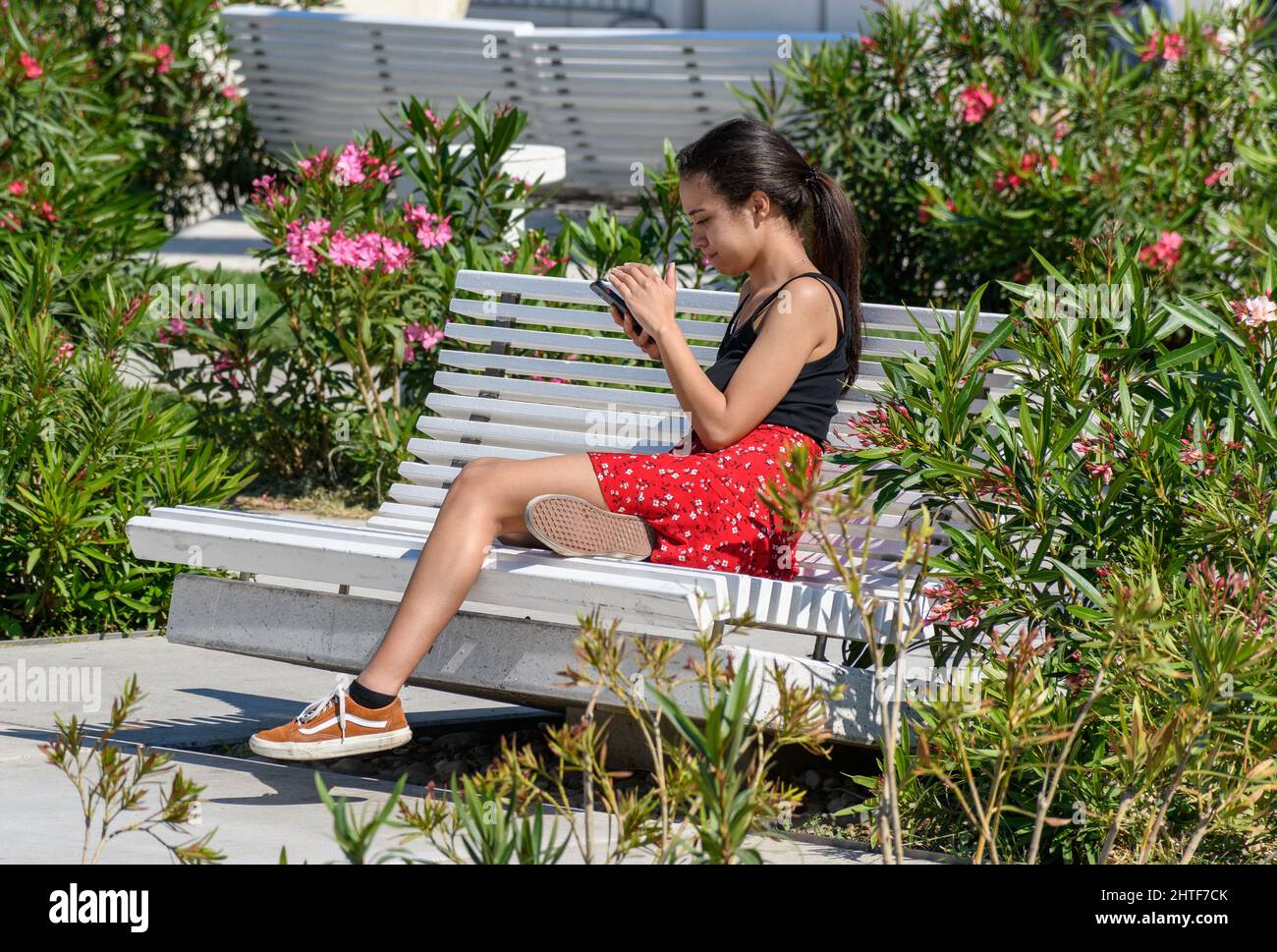 Young girl sitting on a bench and using a mobile phone Stock Photo - Alamy