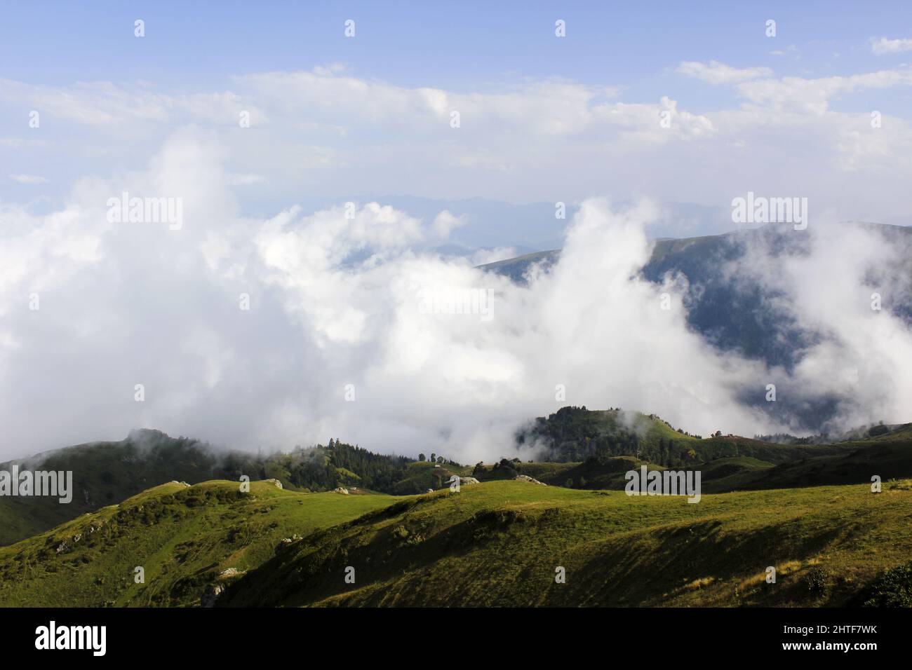 Lowered angle hi-res stock photography and images - Alamy