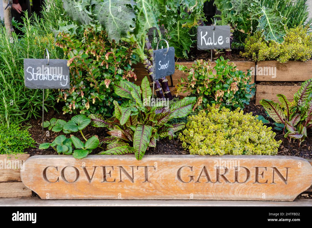 Fruit, vegetables and herbs growing in a planter at Covent Garden in