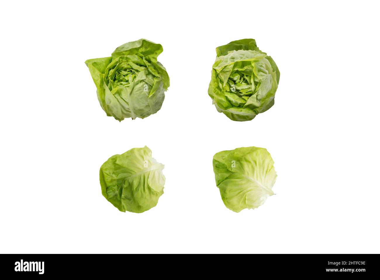 Lettuce heads and leaves isolated Stock Photo Alamy