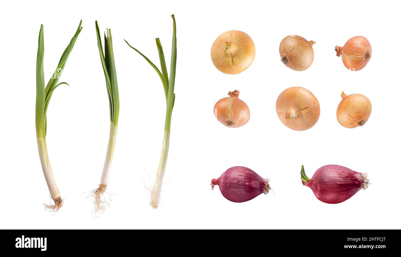 Spring, red, yellow onions isolated Stock Photo