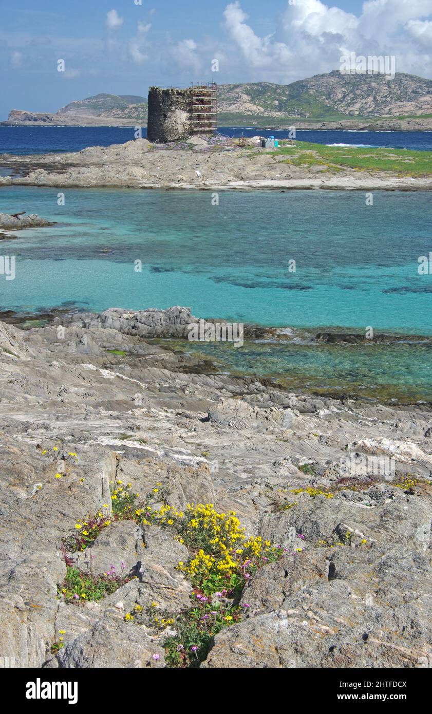 stintino-sardinia-italy-aragonese-tower-and-la-pelosa-beach-stock