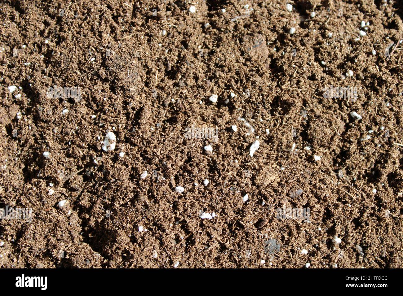 A CloseUp on Common Potting Mix Soil Stock Photo Alamy