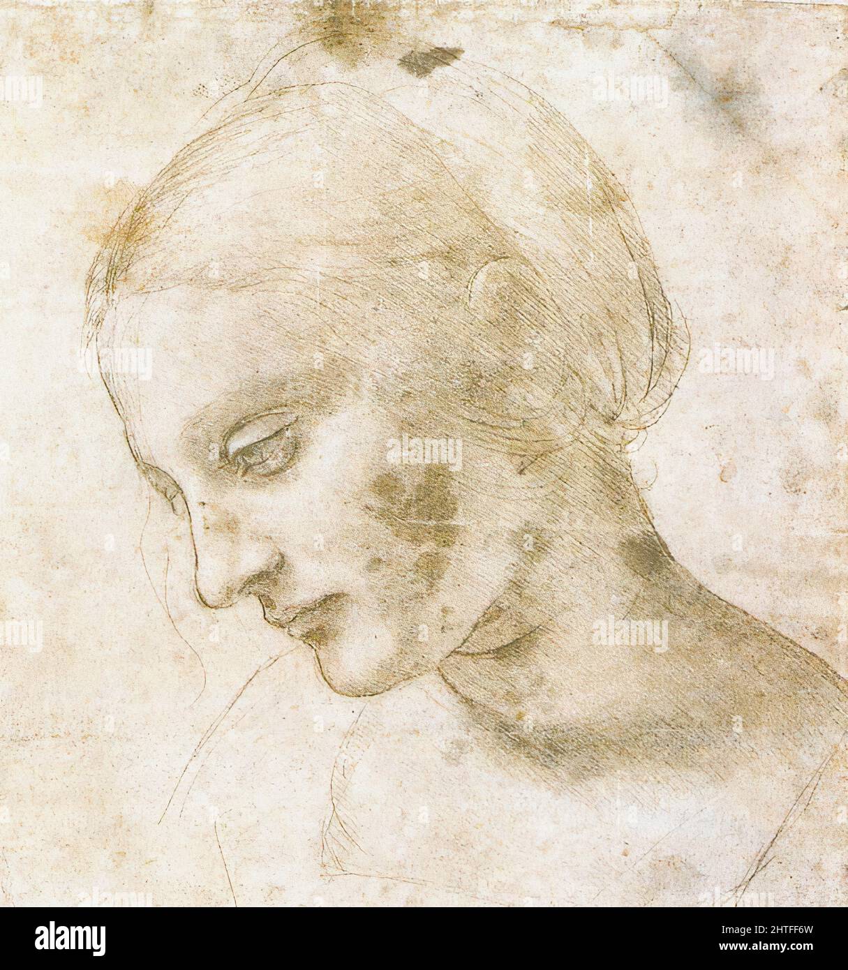 Leonardo Da Vinci -  Study Woman Head 1490 Stock Photo