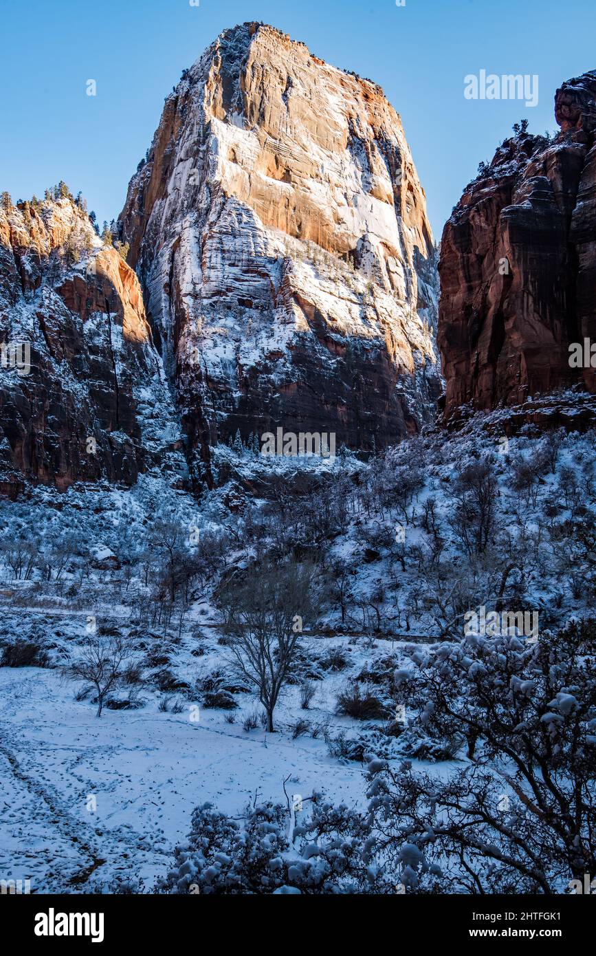 The Great White Throne is an iconic rock formation in Zions National Park.  The grandeur and scope of the red rock canyon is one of the great wonders Stock Photo