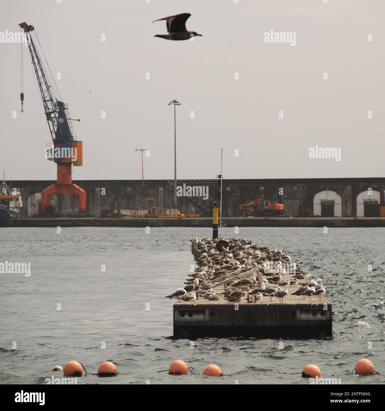 Construction site at daytime Stock Photo - Alamy