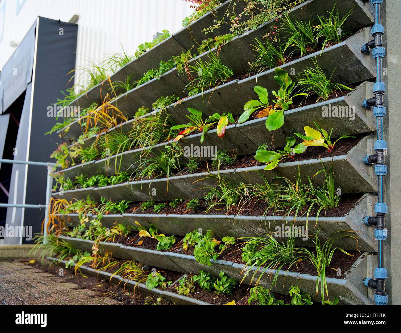 Vertical Wall Garden Irrigation At Cassandra Wild Blog