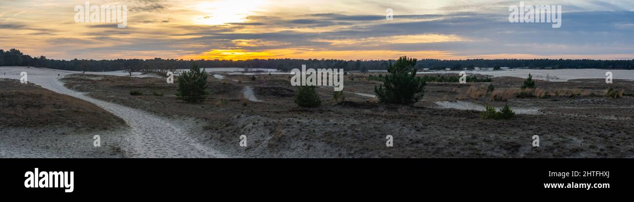 Sunset in Dutch National Park Loonse en Drunense Duinen located in Province North Brabant, that is known for beautiful landscape with sand dunes Stock Photo