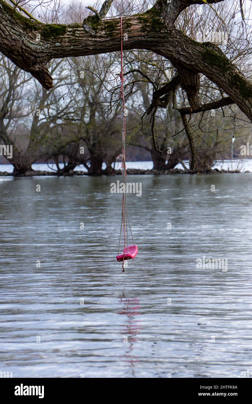 Swing on tree over water Stock Photo - Alamy