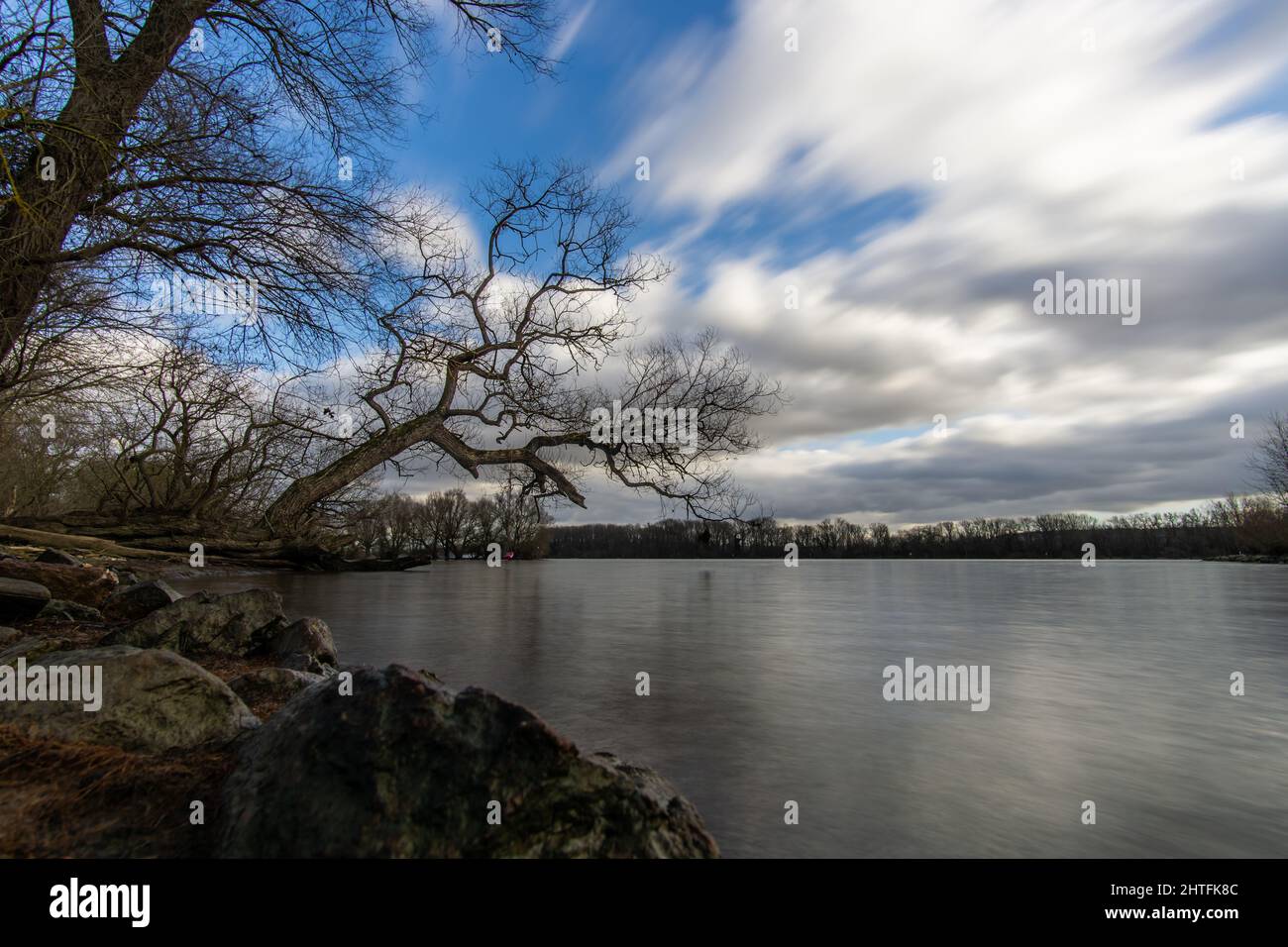 Swing on tree over water Stock Photo - Alamy