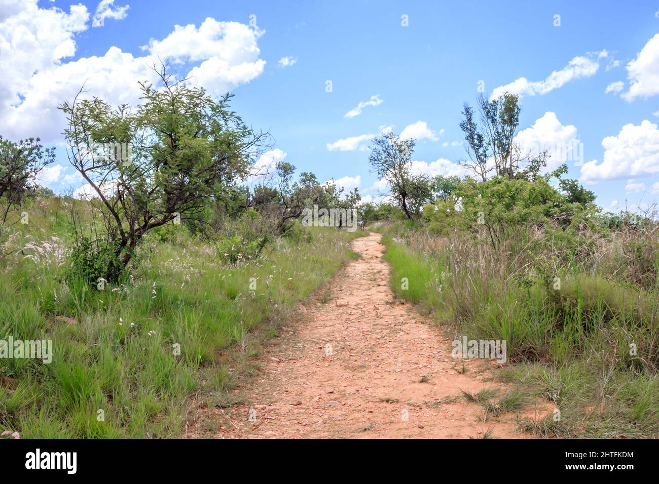 View of a hiking path surrounded by trees and bushes in a mountainous ...