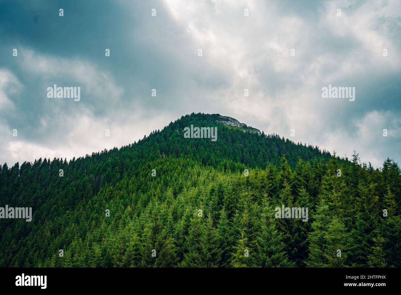 Shot beautiful green mountain hi-res stock photography and images - Alamy