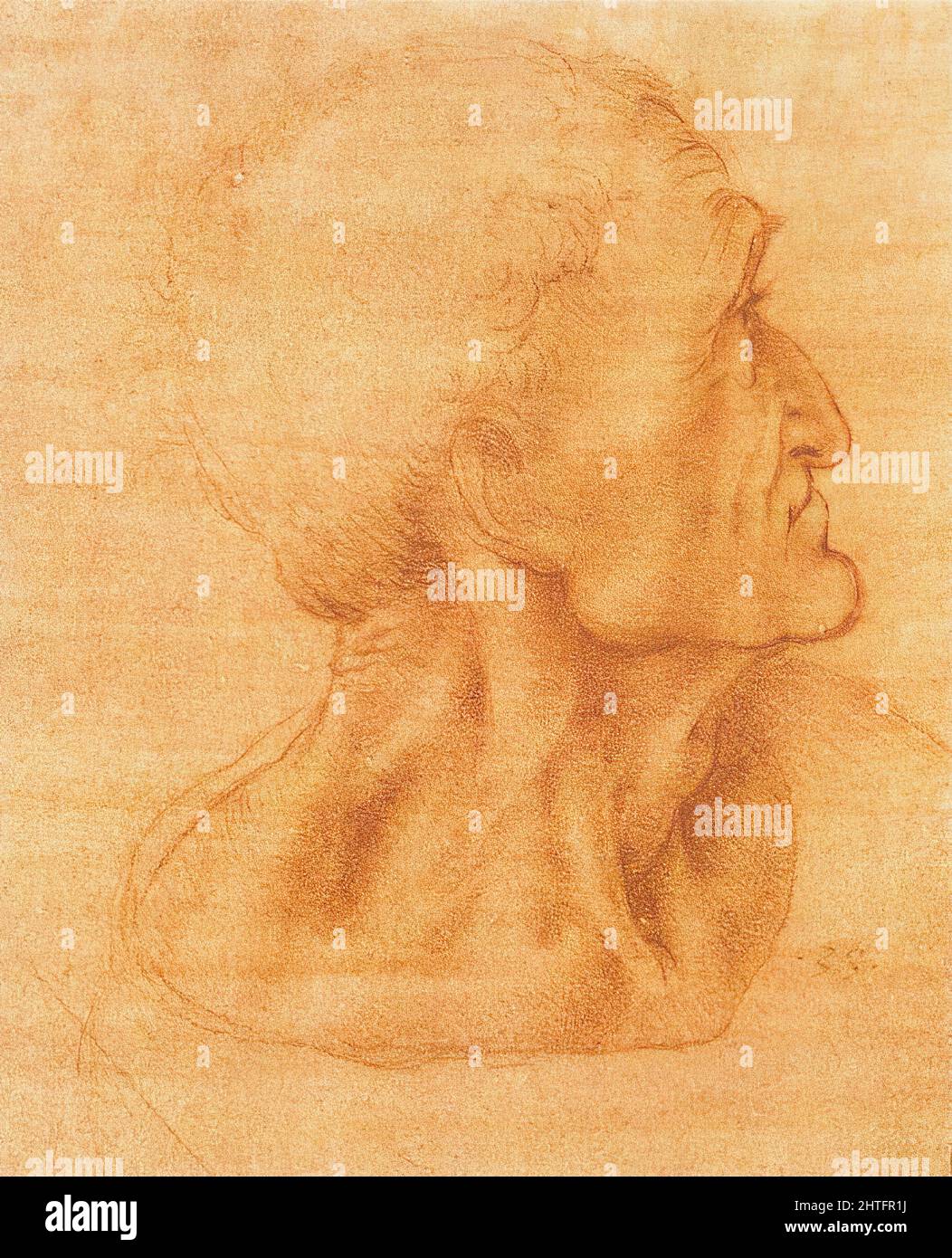 STUDY FOR THE LAST SUPPER JUDAS visual data 8