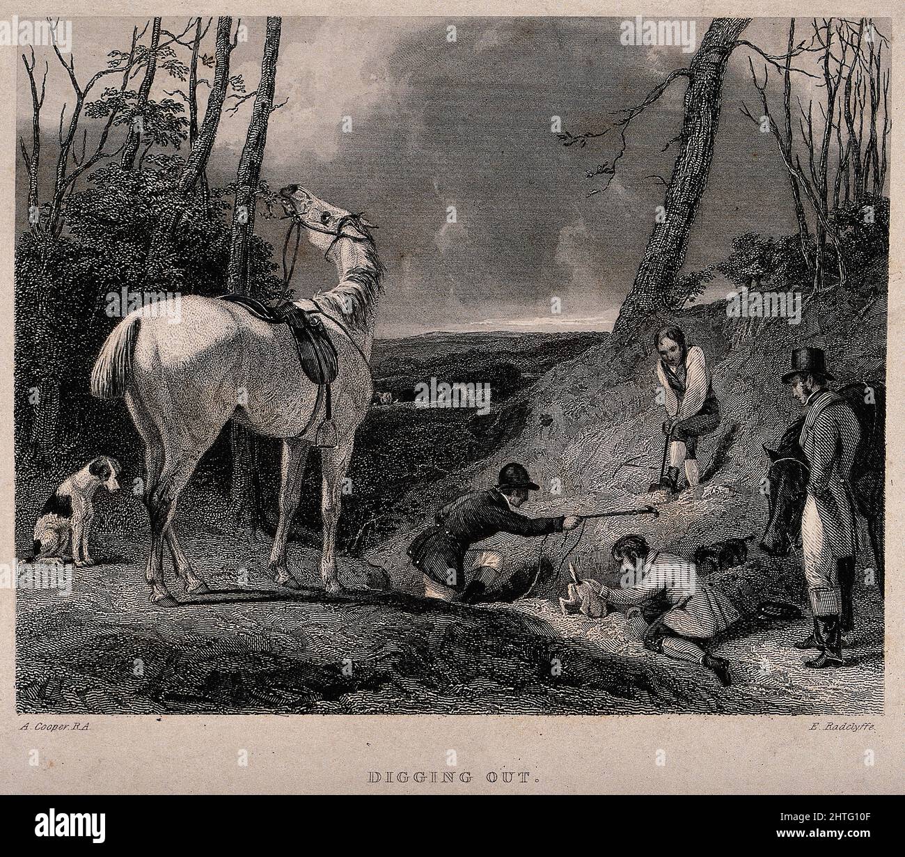 A horse chews at the leaves on the tree as men and dogs atte