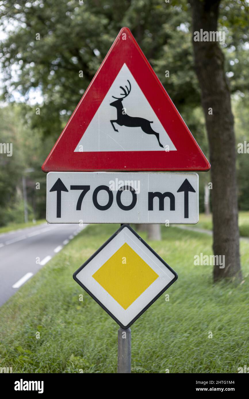 Wildlife traffic sign along a country road Stock Photo