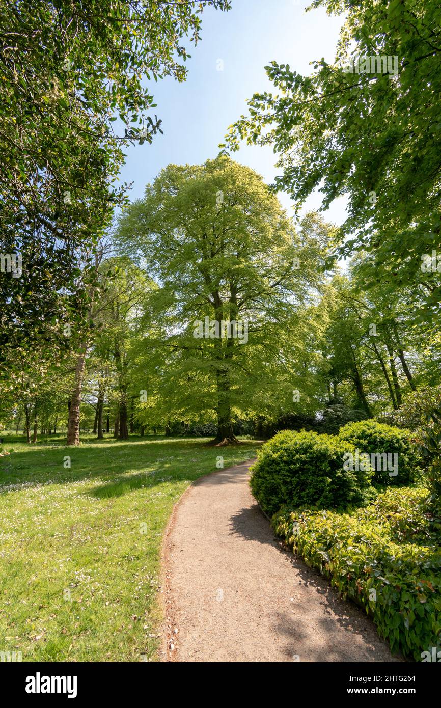 Beautiful shot narrow pathway hi-res stock photography and images - Alamy