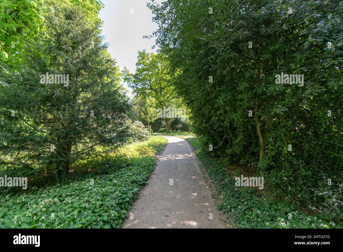 Trail surrounded by green trees and nature during daylight Stock Photo