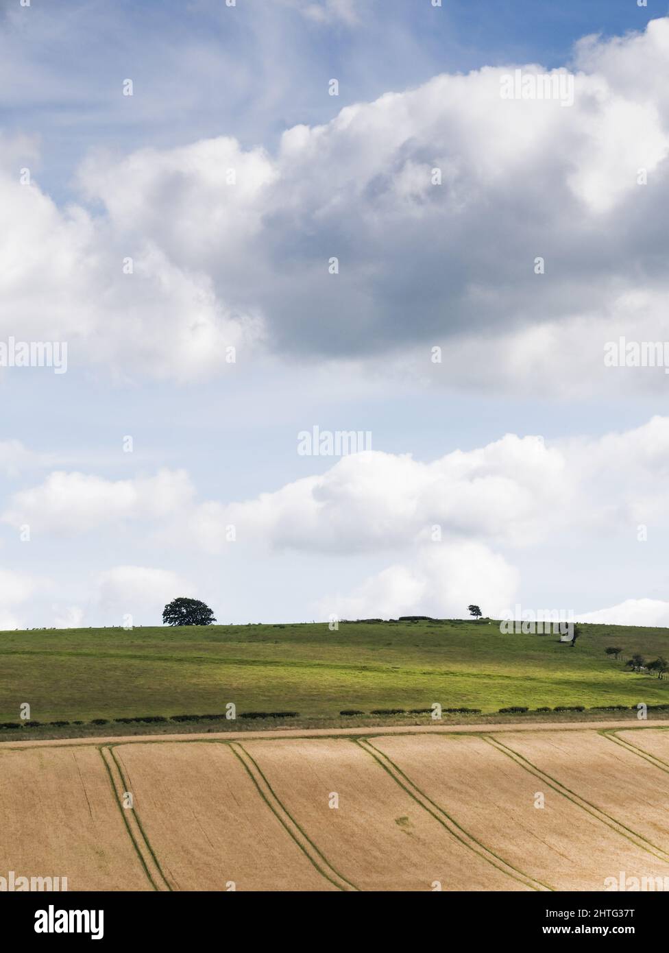 Arable landscape with copy space Stock Photo - Alamy