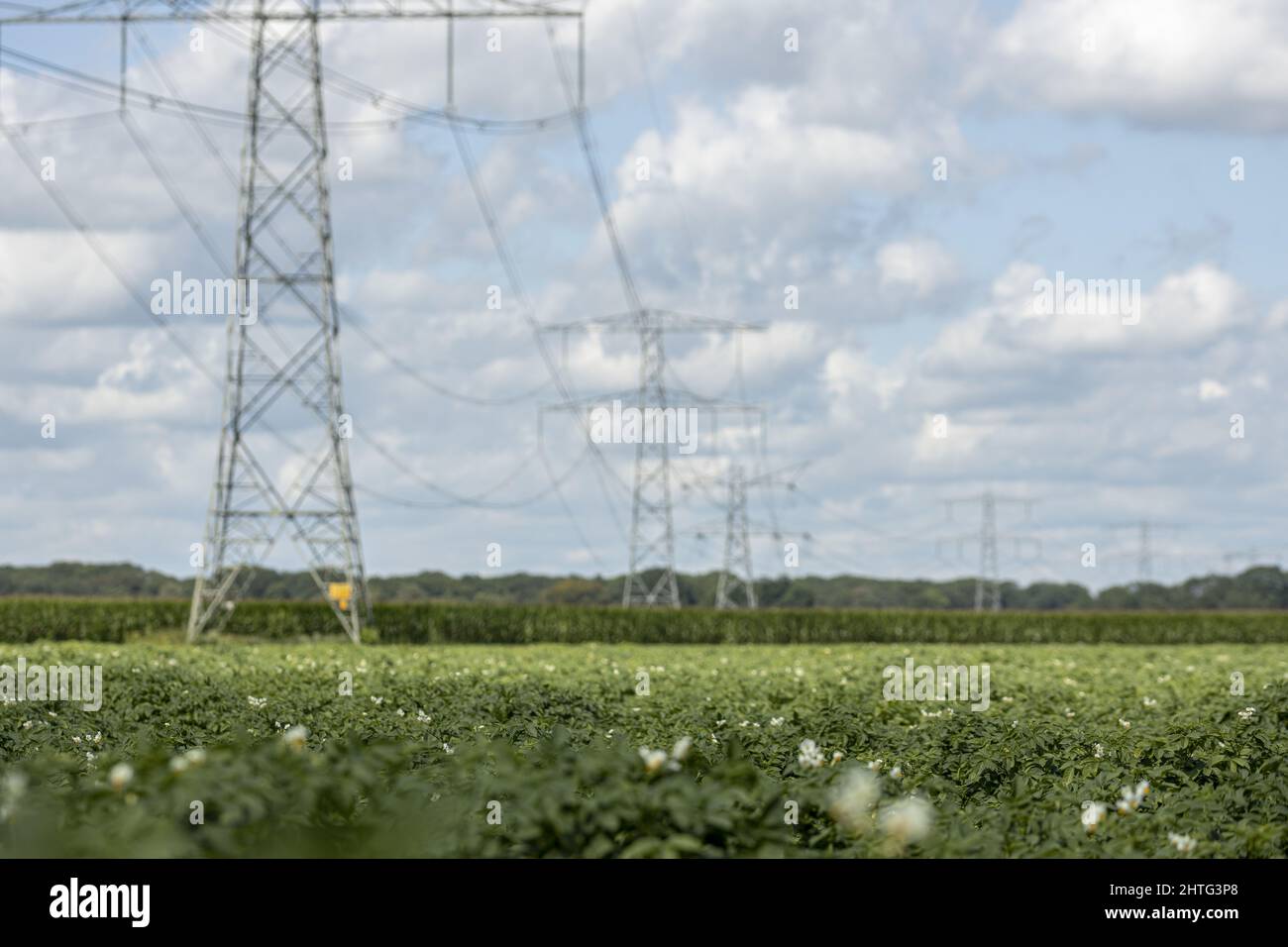 Farmland with electricity towers Stock Photo