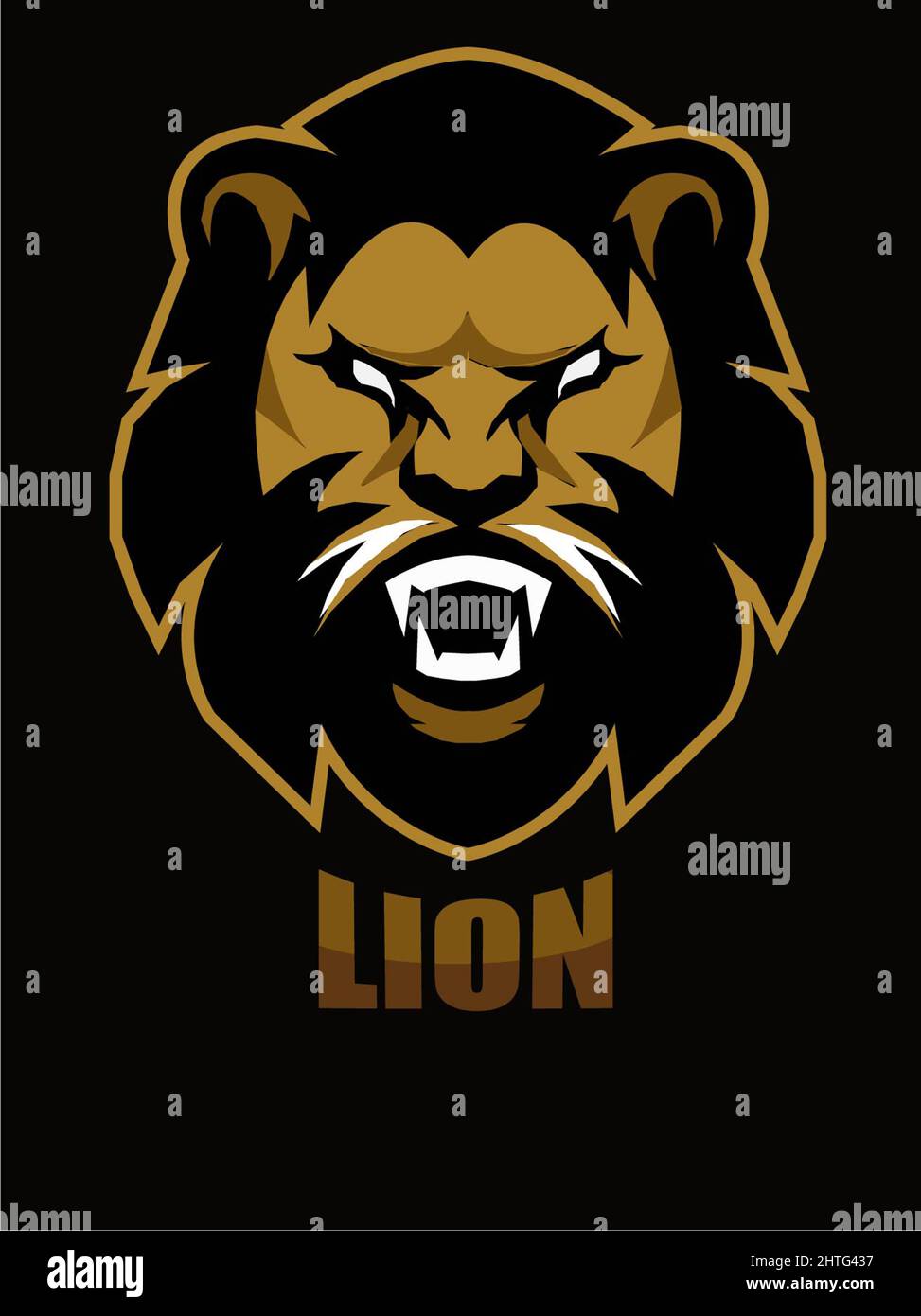 Beautiful illustration of a lion head on a black background Stock Photo ...