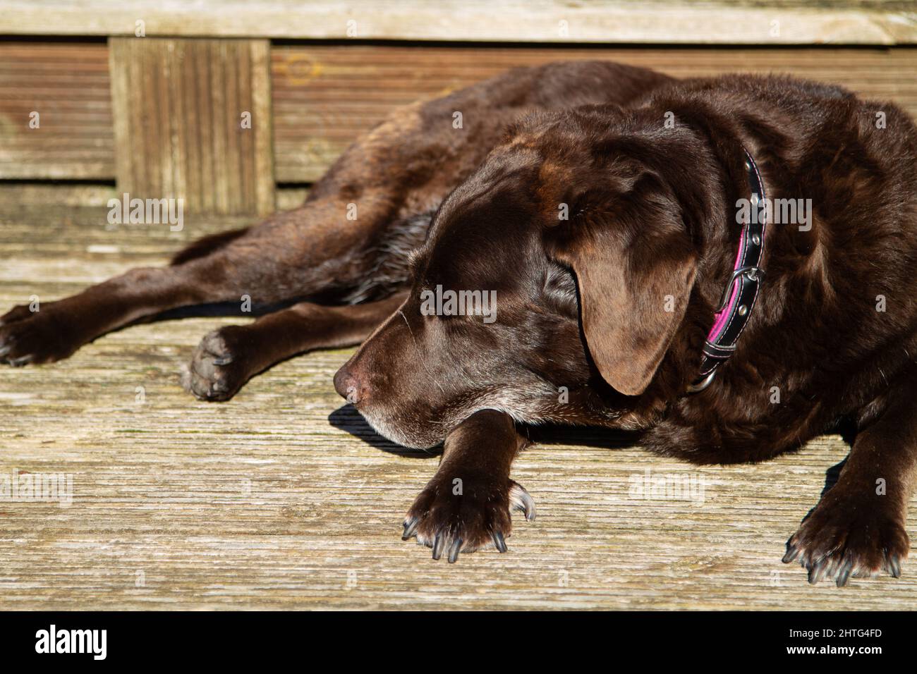 Old boy lazing in the sun Stock Photo