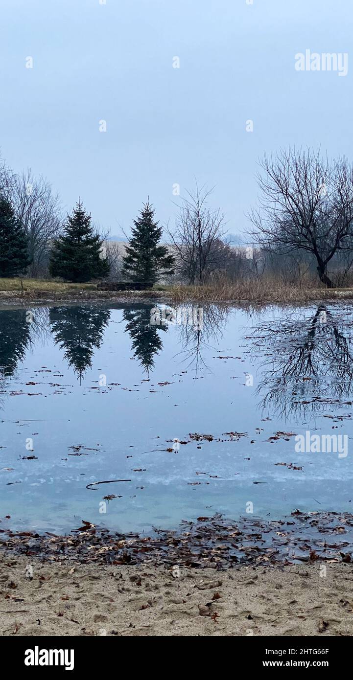 Vertical shot of the river water reflecting nearby autumn trees and a ...