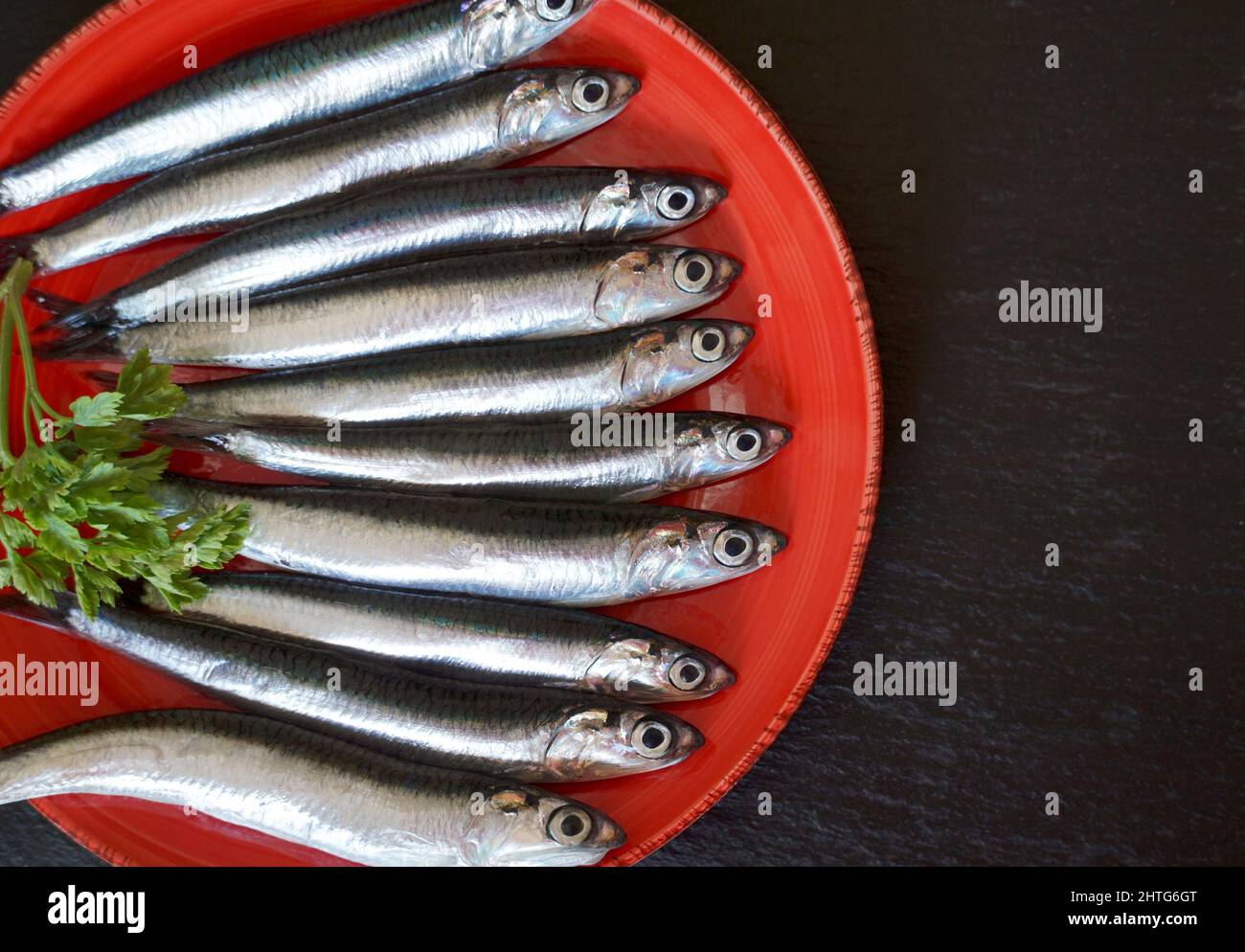 Ten raw anchovies lined on the red plate on the black kitchen board background with free copy space Stock Photo