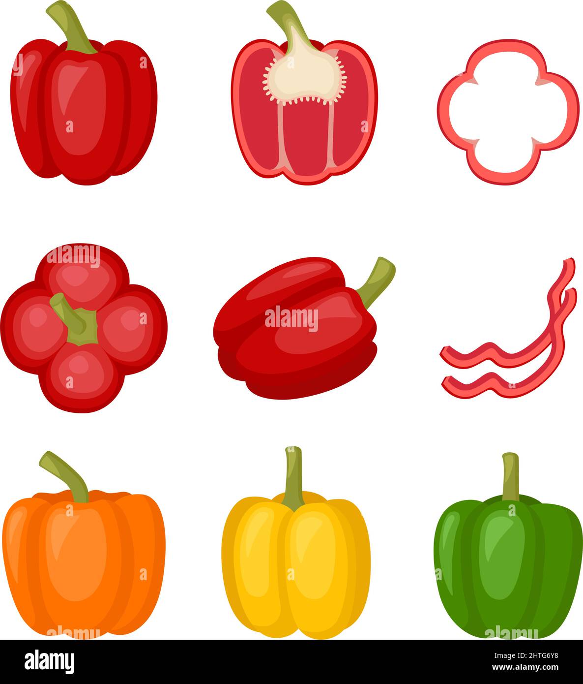 Sweet red, yellow, orange peppers, bell pepper. Slice of pepper, cut half full paprika, vector illustration Stock Vector